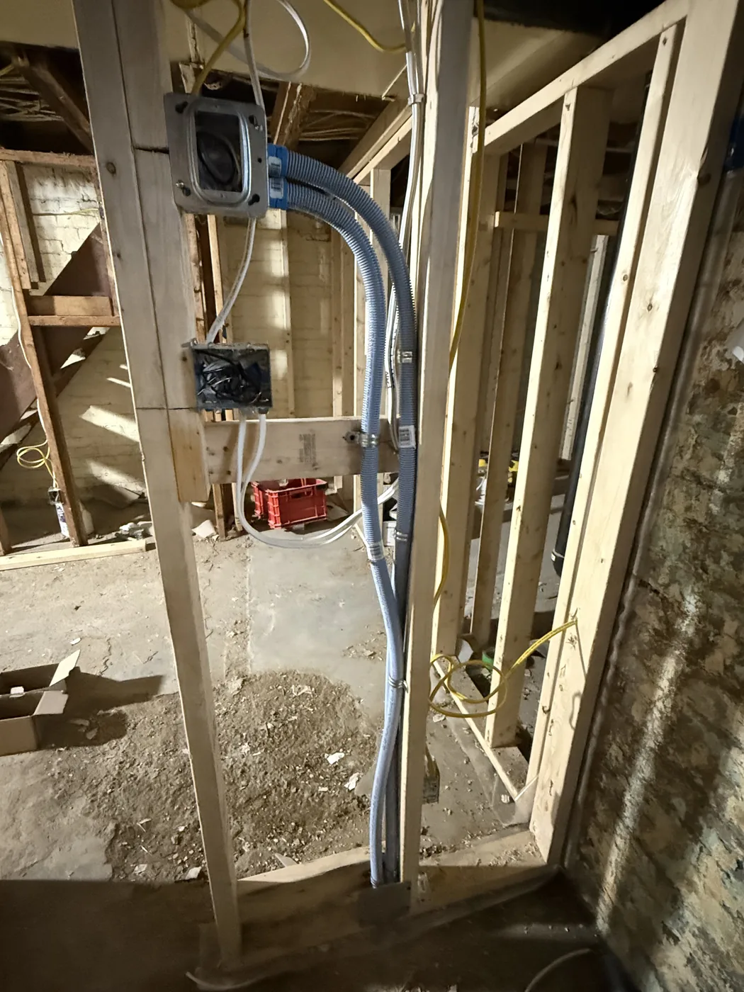 Basement electrical rough-in with conduit run through open framing